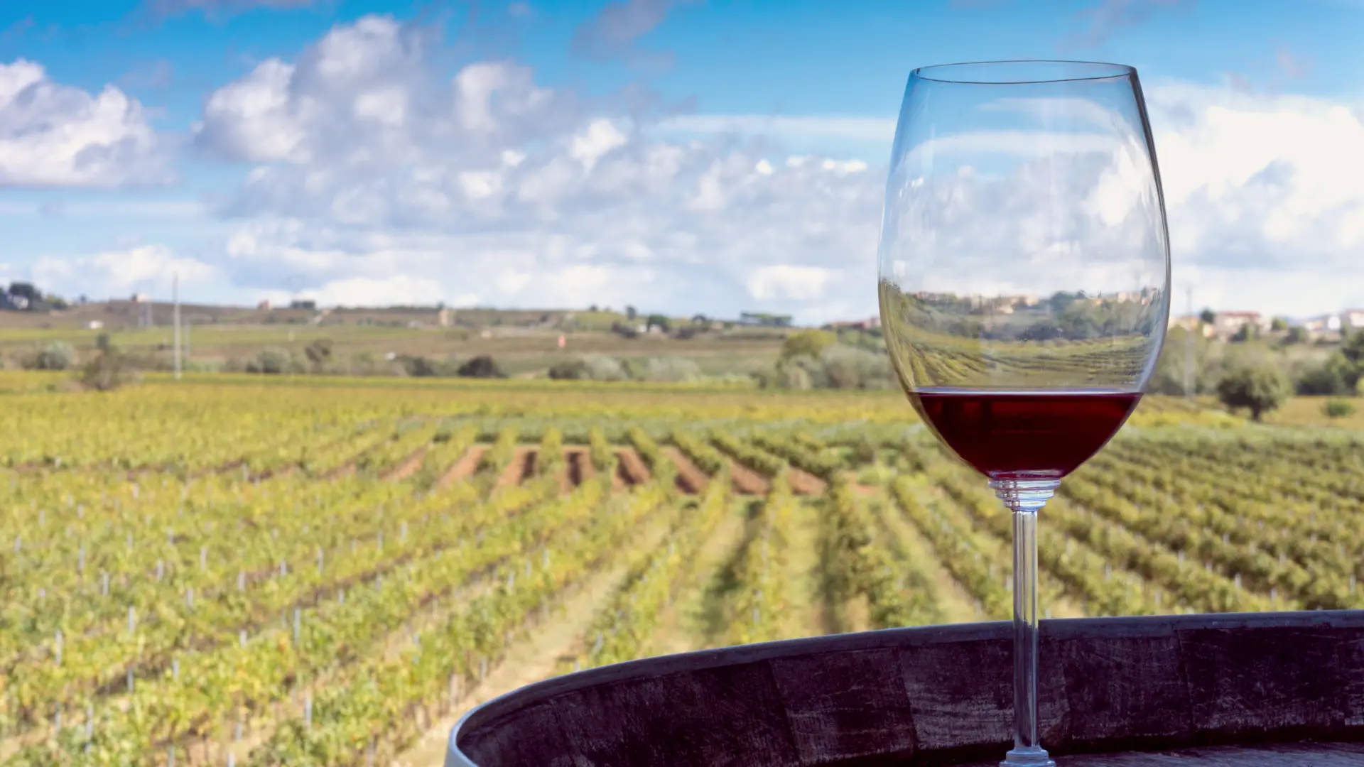 Vino Tannat uruguayo